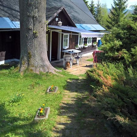 Chata V Srdci Krkonos Villa Kořenov Esterno foto