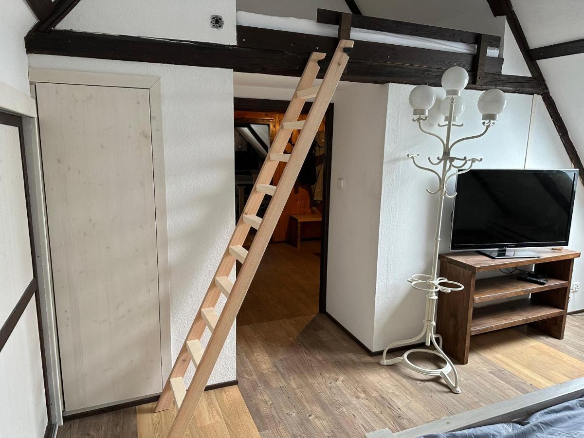 Chata V Srdci Krkonos Villa Kořenov Esterno foto