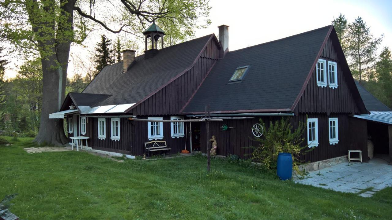 Chata V Srdci Krkonos Villa Kořenov Esterno foto