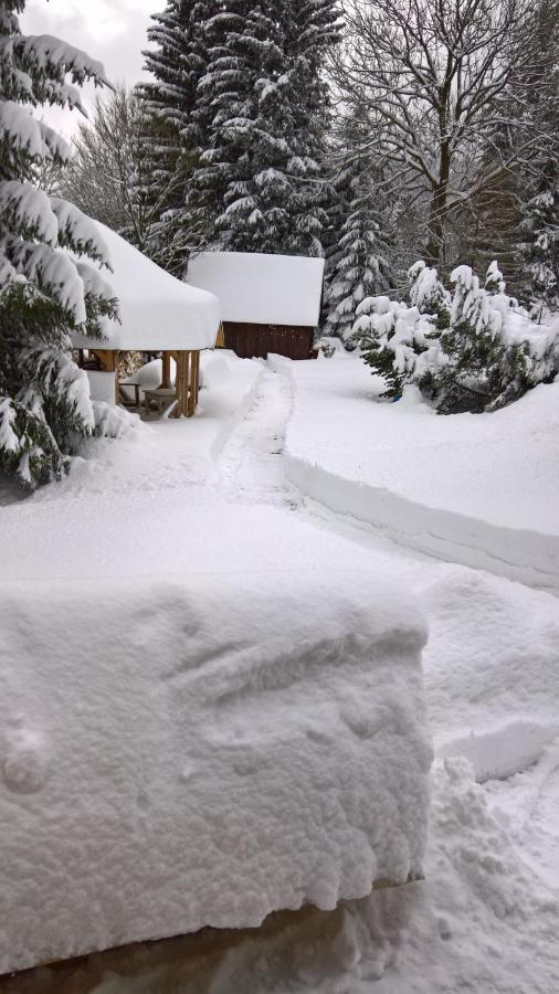 Chata V Srdci Krkonos Villa Kořenov Esterno foto