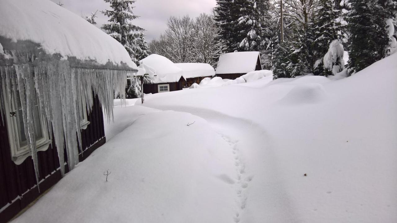 Chata V Srdci Krkonos Villa Kořenov Esterno foto
